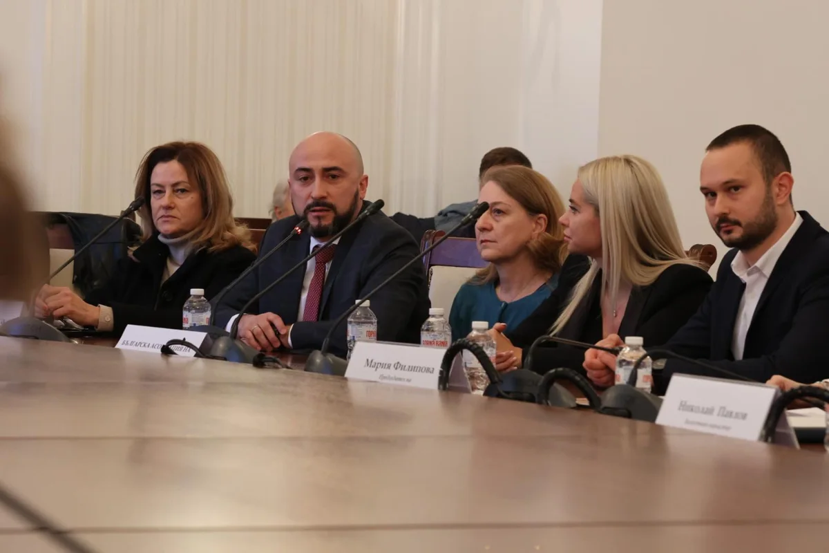 Elina Ivanova-Atanassov with the industry delegation at the committee hearing